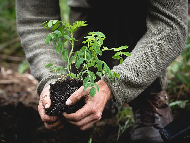 LA PERMACULTURE